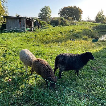 Ferienhaus Raabe Splietsdorf Zewnętrze zdjęcie